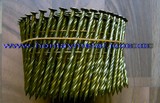 Hontay Coil nails with screw
