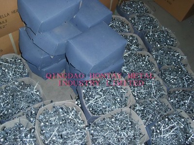Roofing nails with blue box